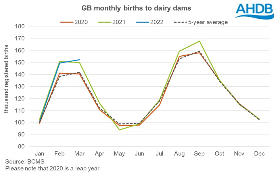 graph showing BCMS calf registrations in Q1 2022